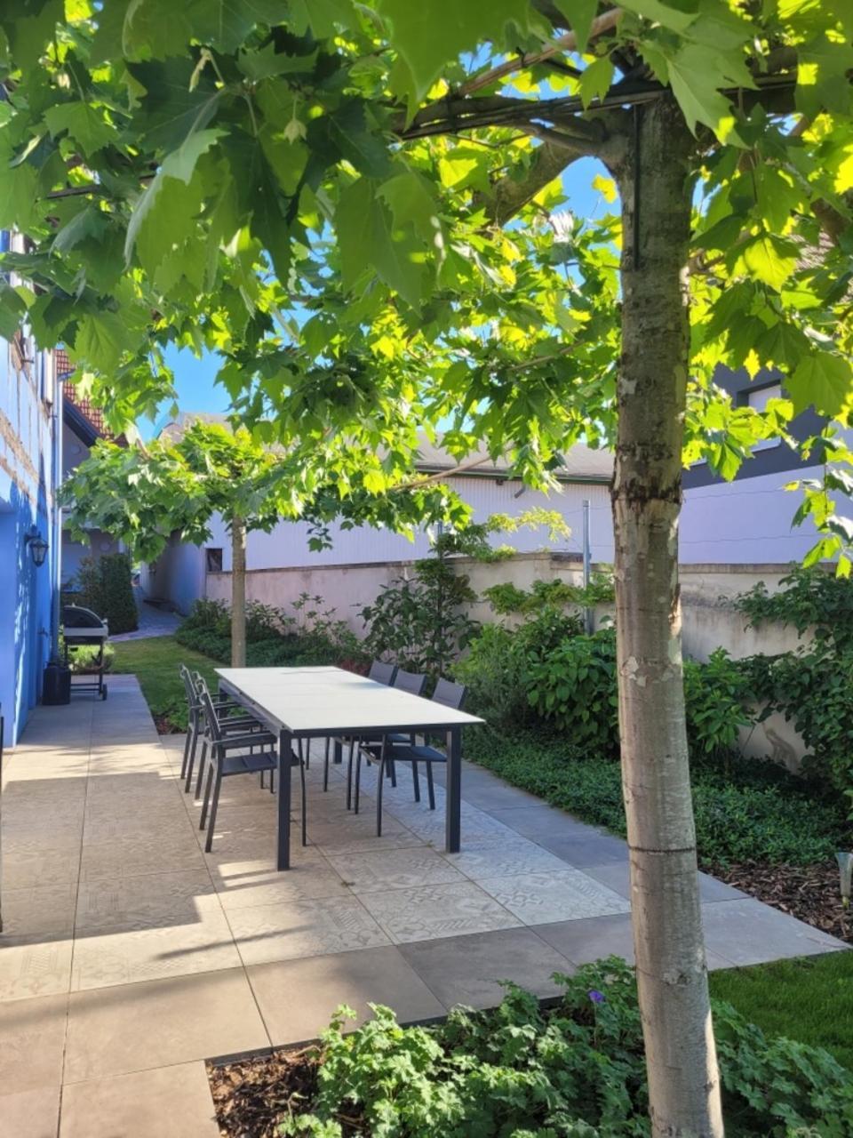 Le Clos Des Jardiniers Gottri Gerstheim Exteriör bild